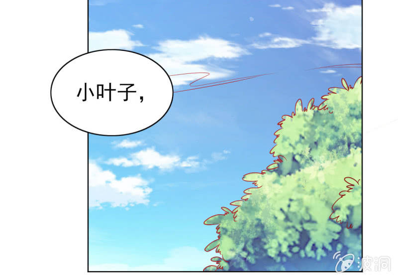 《豪门枭宠·总裁请矜持》11.结婚，不过是各取所需 第33页