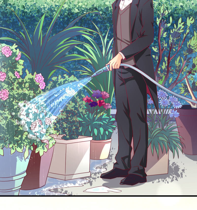 《豪门枭宠·总裁请矜持》48.终于醒来 第15页