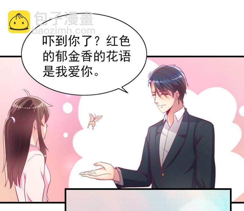 《豪门枭宠·总裁请矜持》53.花语是我爱你 第39页