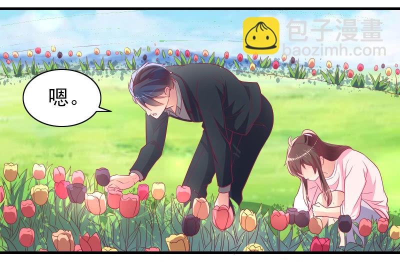 《豪门枭宠·总裁请矜持》53.花语是我爱你 第44页