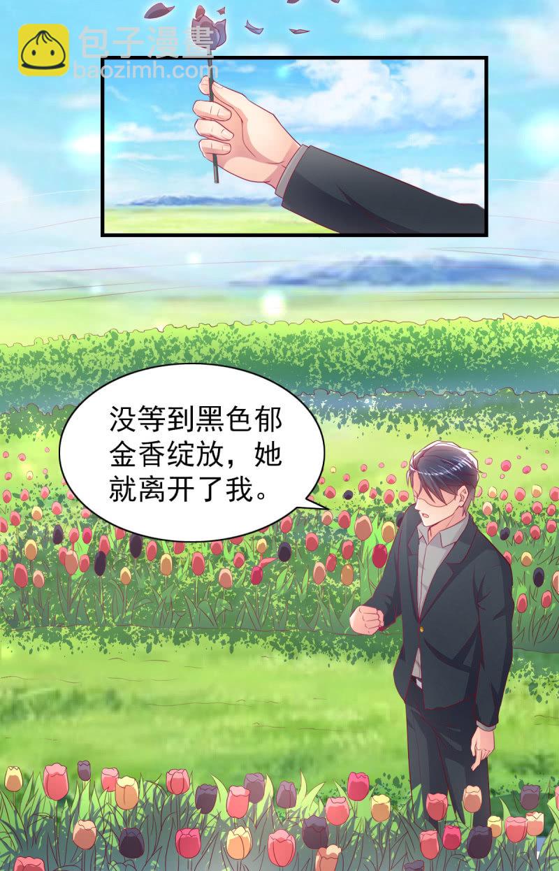 《豪门枭宠·总裁请矜持》53.花语是我爱你 第46页