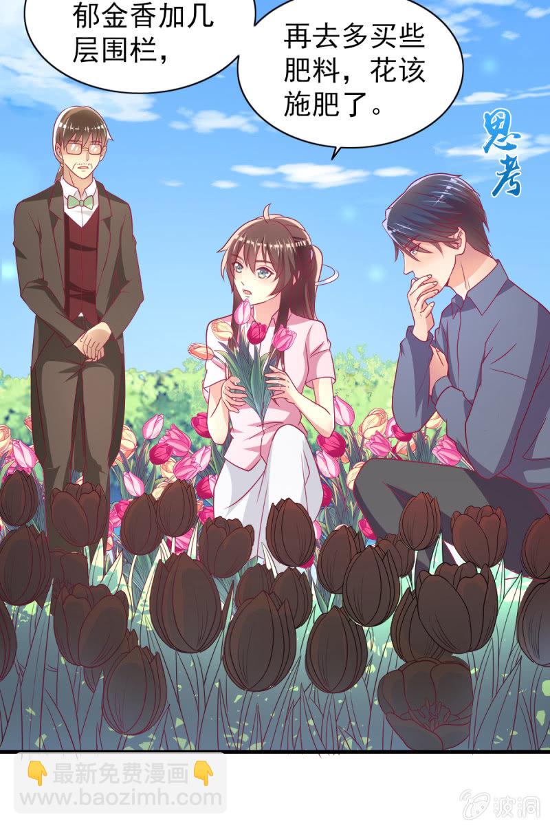 《豪门枭宠·总裁请矜持》58.全部改种水果蔬菜 第45页