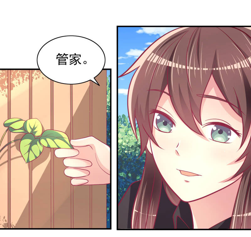 《豪门枭宠·总裁请矜持》63.喜欢吃榴莲的总裁 第2页