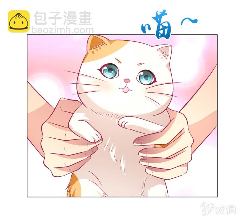 《豪门枭宠·总裁请矜持》98.追星效应 第37页