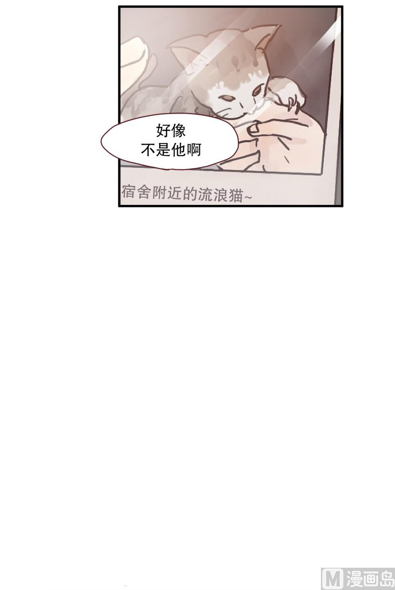 《田螺姑娘》59.猫妖（二） 第15页