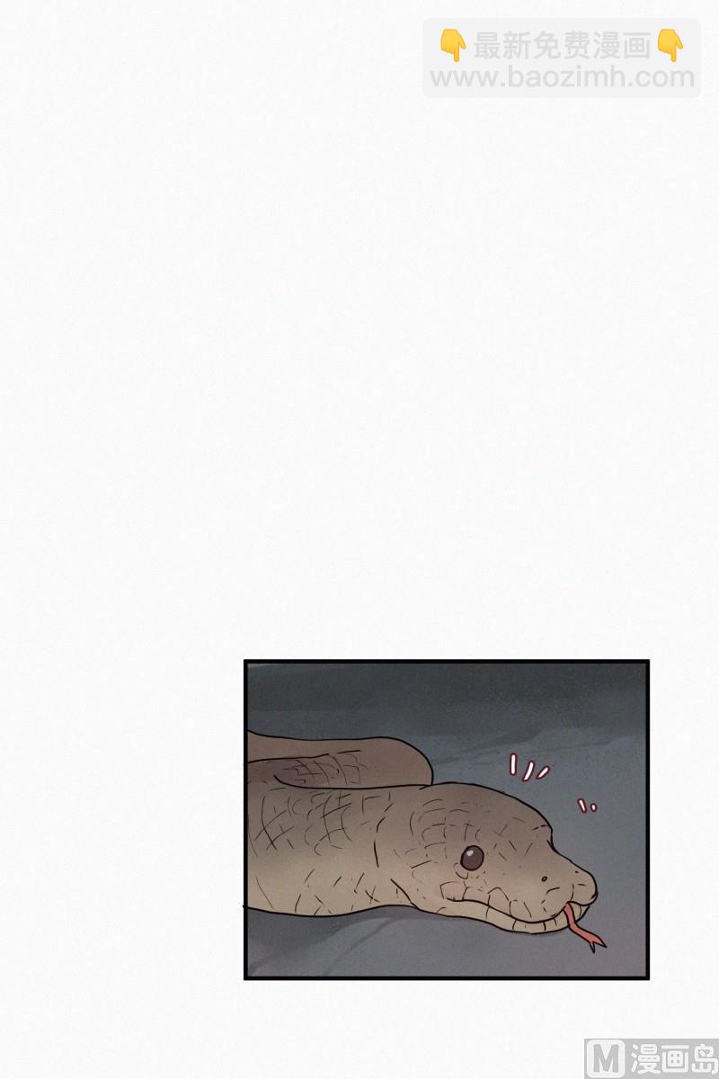 《田螺姑娘》77.利用价值 第5页