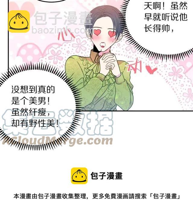 《被诅咒的婚约》第31话 圣国魔法师 第29页