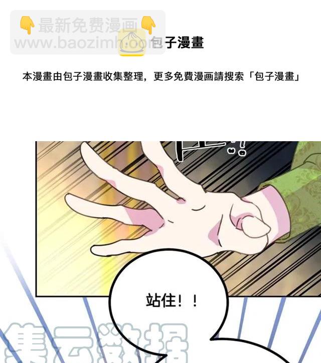 《被诅咒的婚约》第31话 圣国魔法师 第5页