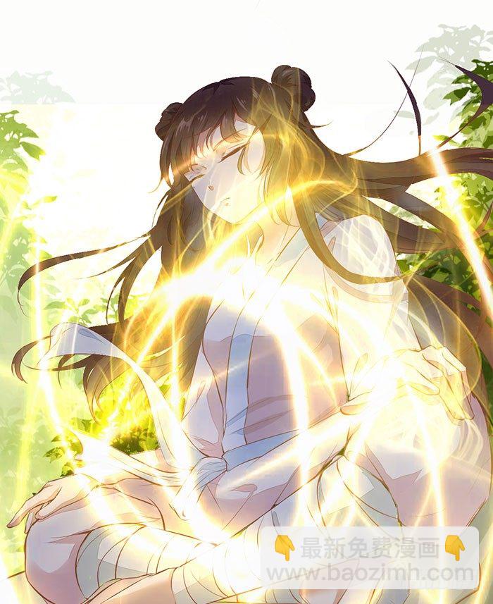 《神医弃女鬼帝的驭兽狂妃》第3话 突破 第12页