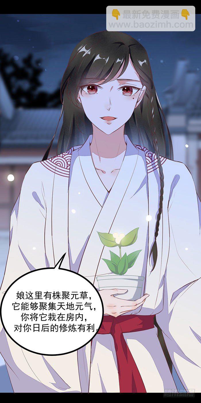 《神医弃女鬼帝的驭兽狂妃》第002话 鸿蒙天 第17页