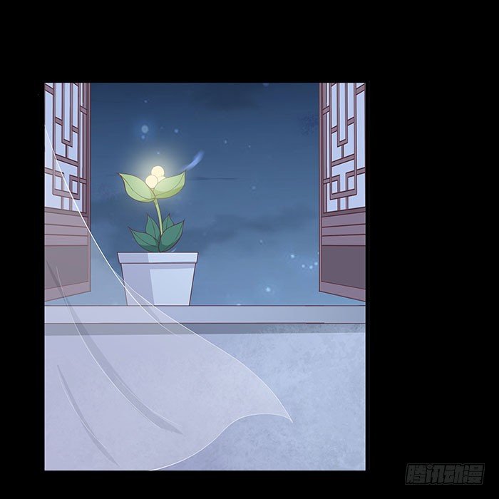 《神医弃女鬼帝的驭兽狂妃》第002话 鸿蒙天 第25页