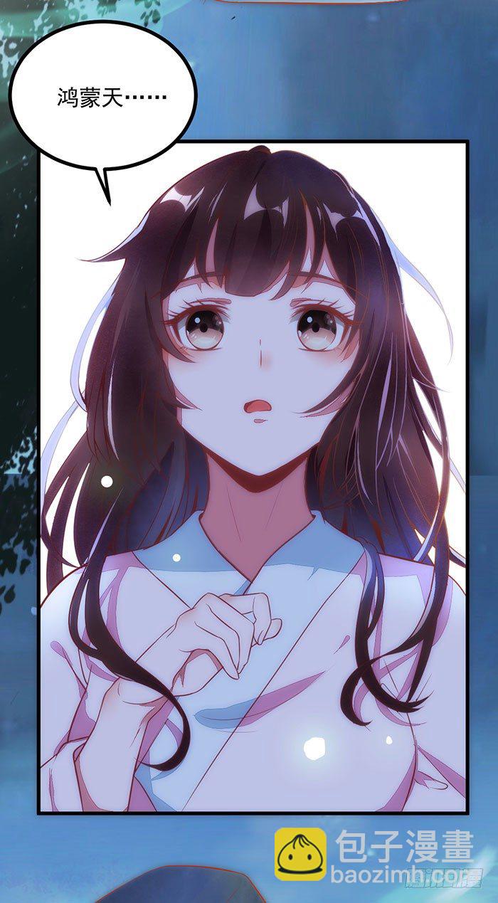 《神医弃女鬼帝的驭兽狂妃》第002话 鸿蒙天 第33页