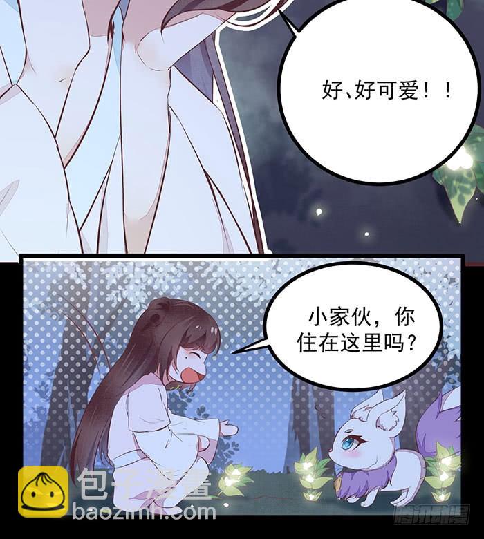 《神医弃女鬼帝的驭兽狂妃》第007话 小吱哟 第30页