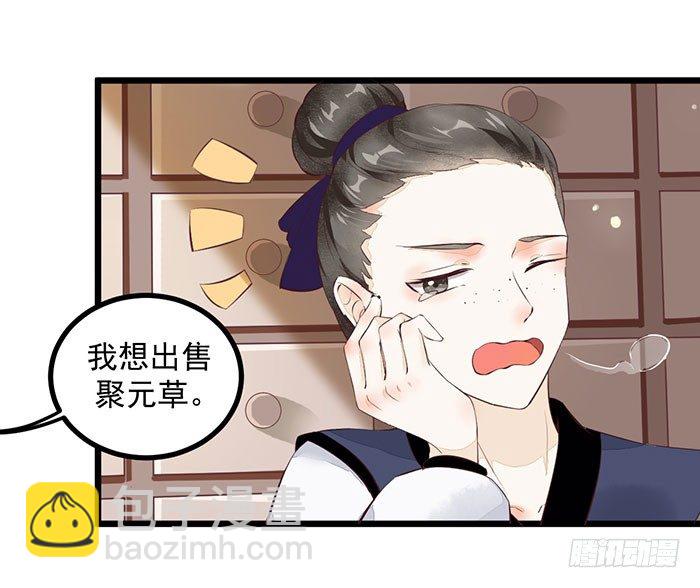 《神医弃女鬼帝的驭兽狂妃》第005话 出售灵草 第20页
