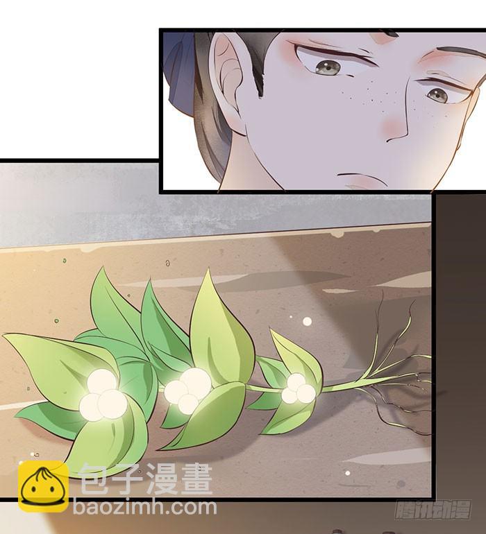 《神医弃女鬼帝的驭兽狂妃》第005话 出售灵草 第22页