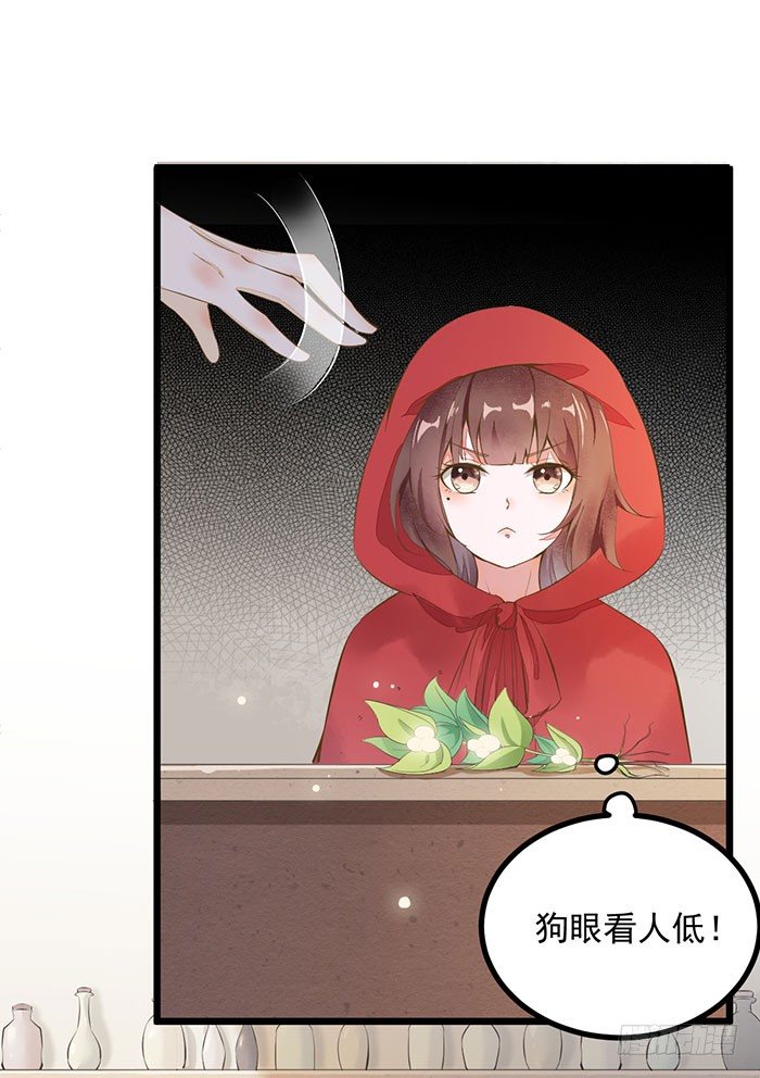 《神医弃女鬼帝的驭兽狂妃》第005话 出售灵草 第24页
