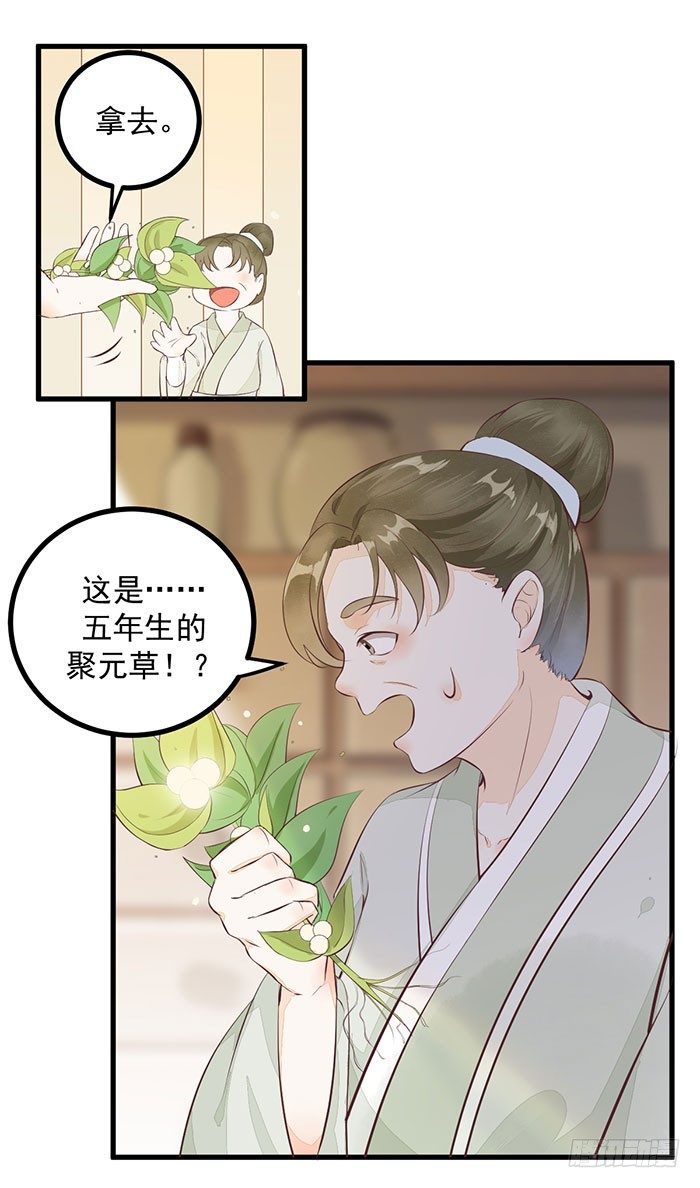 《神医弃女鬼帝的驭兽狂妃》第005话 出售灵草 第27页