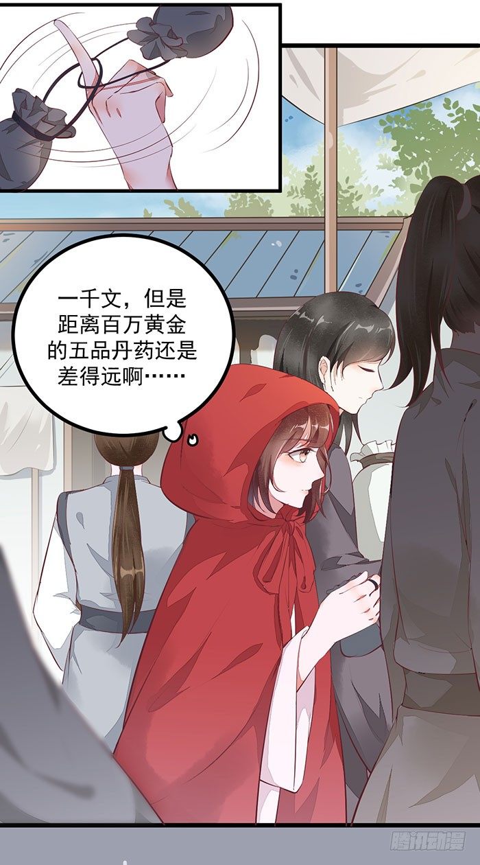 《神医弃女鬼帝的驭兽狂妃》第005话 出售灵草 第30页