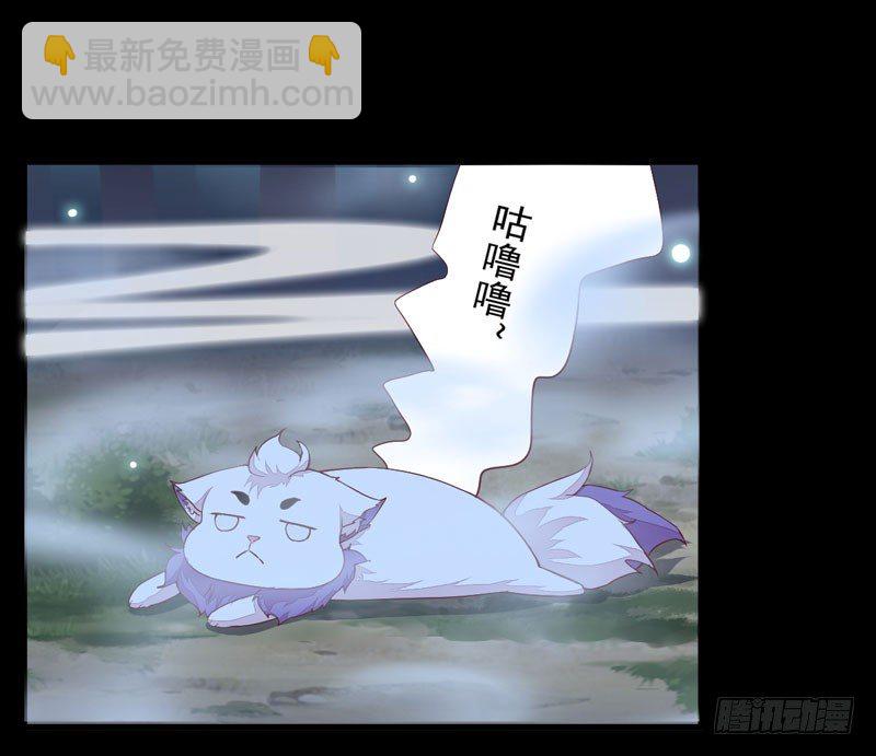 《神医弃女鬼帝的驭兽狂妃》第9话 灵兽灵契 第27页
