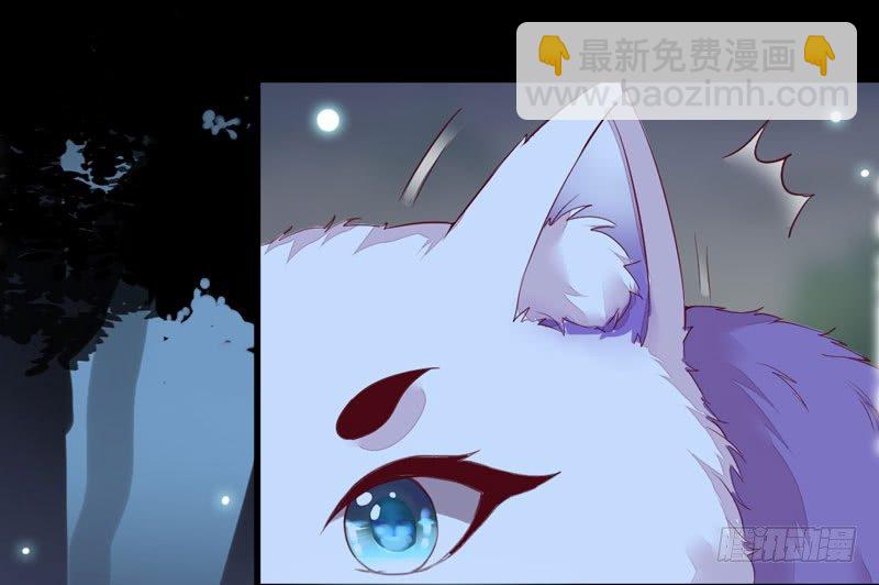 《神医弃女鬼帝的驭兽狂妃》第9话 灵兽灵契 第28页