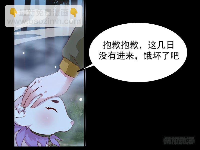 《神医弃女鬼帝的驭兽狂妃》第9话 灵兽灵契 第30页
