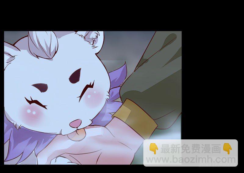 《神医弃女鬼帝的驭兽狂妃》第9话 灵兽灵契 第32页