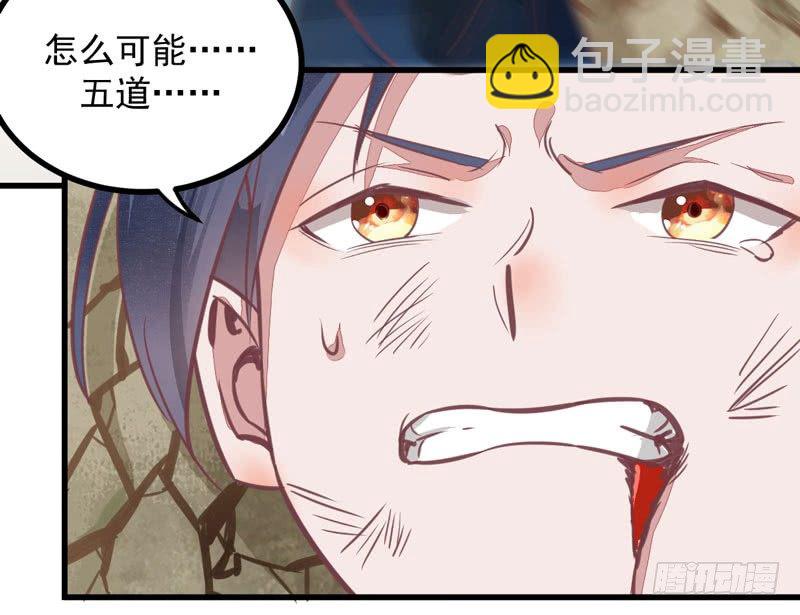 《神医弃女鬼帝的驭兽狂妃》第11话 一鸣惊人 第40页