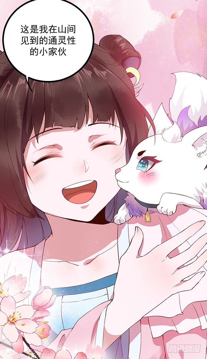 《神医弃女鬼帝的驭兽狂妃》第14话 元力测试 第7页