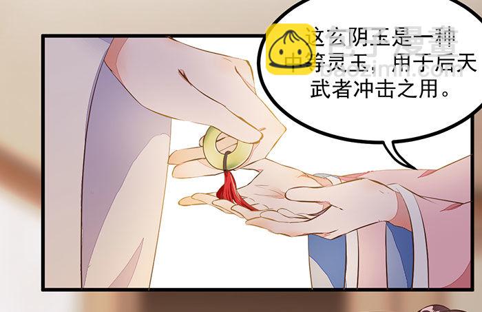 《神医弃女鬼帝的驭兽狂妃》第13话 提纯灵玉 第27页