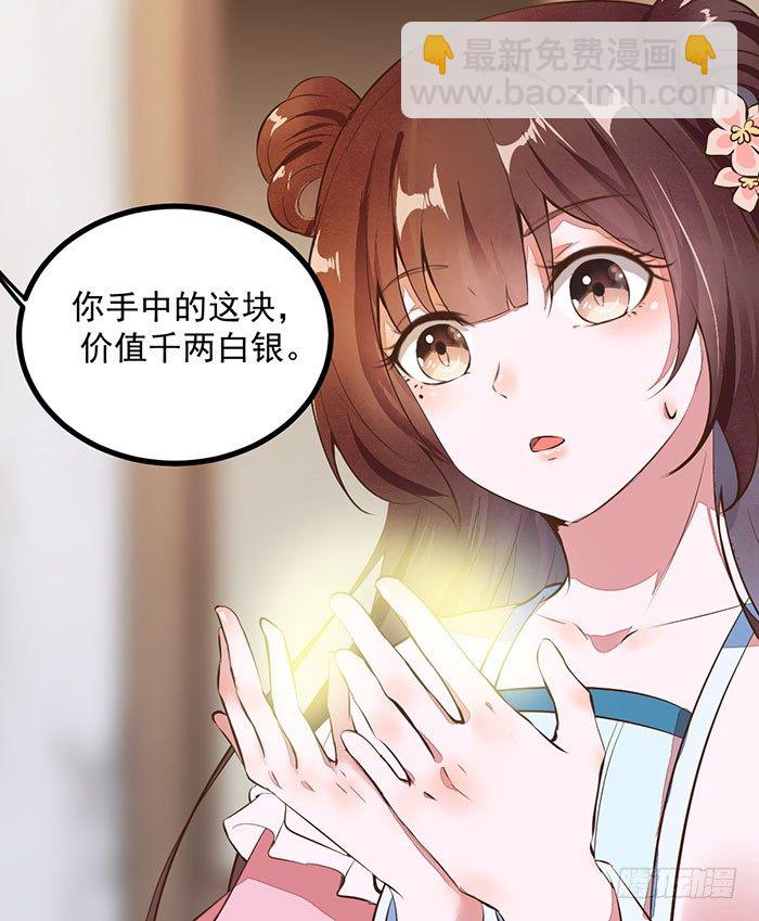 《神医弃女鬼帝的驭兽狂妃》第13话 提纯灵玉 第28页
