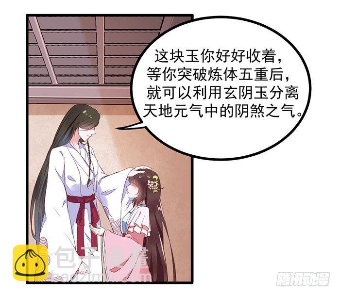 《神医弃女鬼帝的驭兽狂妃》第13话 提纯灵玉 第29页