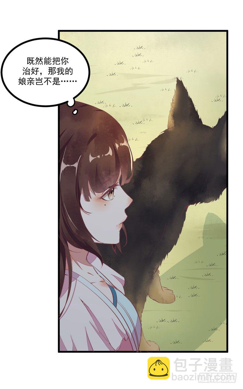 《神医弃女鬼帝的驭兽狂妃》第19话 黑衣男子 第17页
