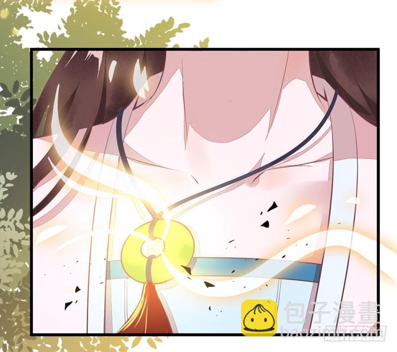 《神医弃女鬼帝的驭兽狂妃》第19话 黑衣男子 第29页