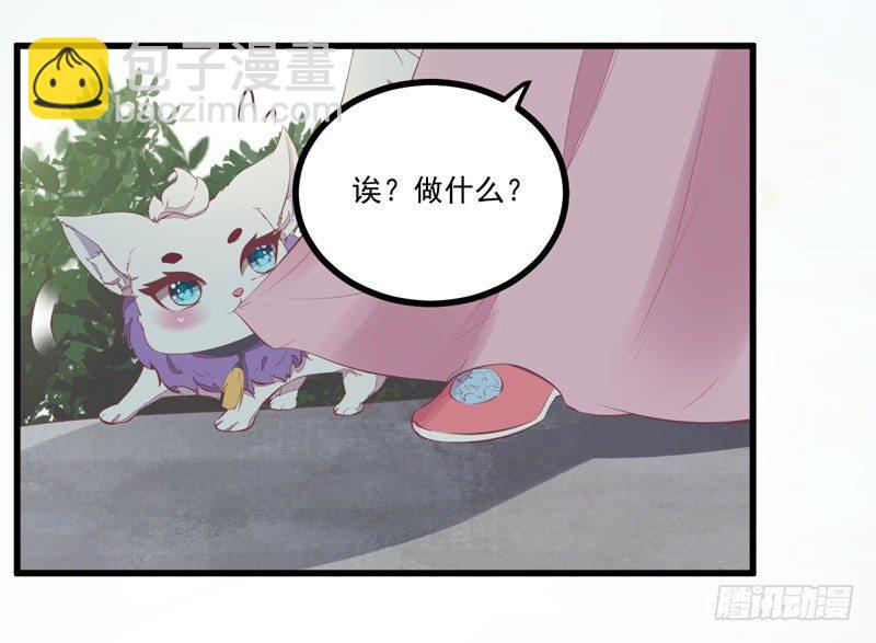 《神医弃女鬼帝的驭兽狂妃》第19话 黑衣男子 第5页