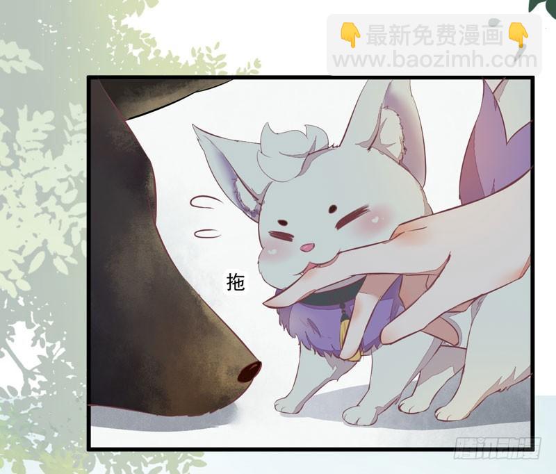 《神医弃女鬼帝的驭兽狂妃》第19话 黑衣男子 第9页