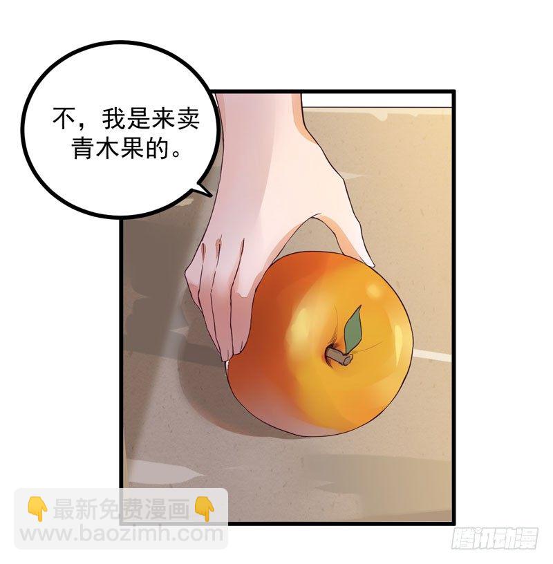 《神医弃女鬼帝的驭兽狂妃》第16话 出售青木果 第16页