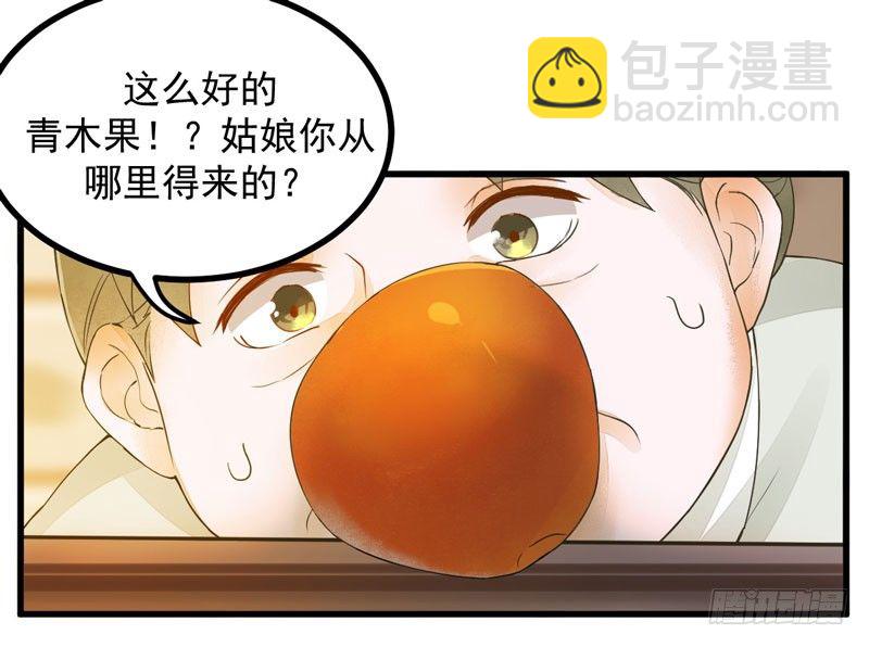 《神医弃女鬼帝的驭兽狂妃》第16话 出售青木果 第17页