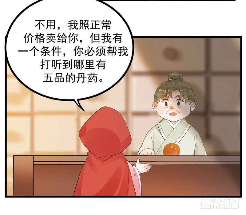 《神医弃女鬼帝的驭兽狂妃》第16话 出售青木果 第20页
