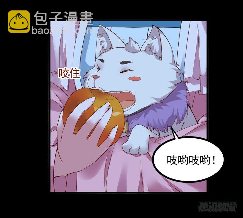 《神医弃女鬼帝的驭兽狂妃》第16话 出售青木果 第8页