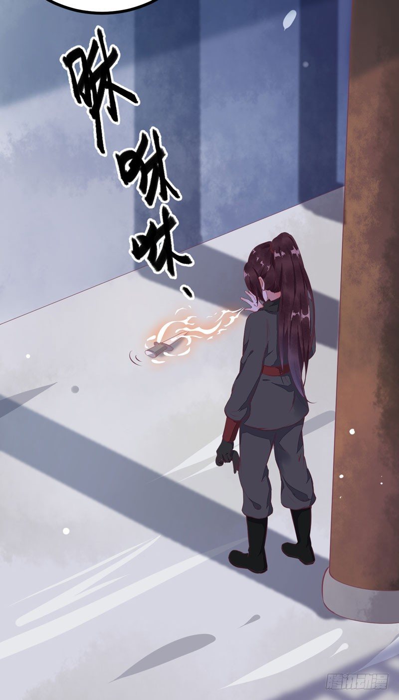《神医弃女鬼帝的驭兽狂妃》第22话 大表哥是好人 第11页