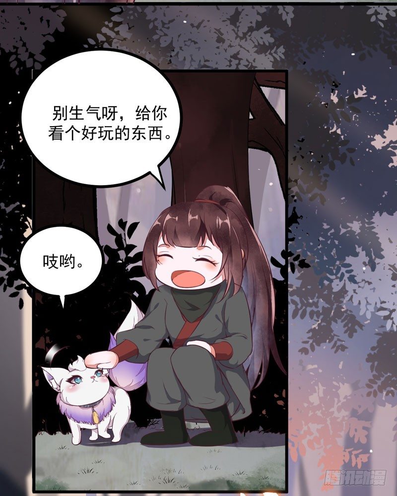 《神医弃女鬼帝的驭兽狂妃》第22话 大表哥是好人 第23页