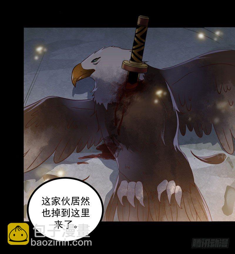《神医弃女鬼帝的驭兽狂妃》第26话 鹰口逃生 第43页