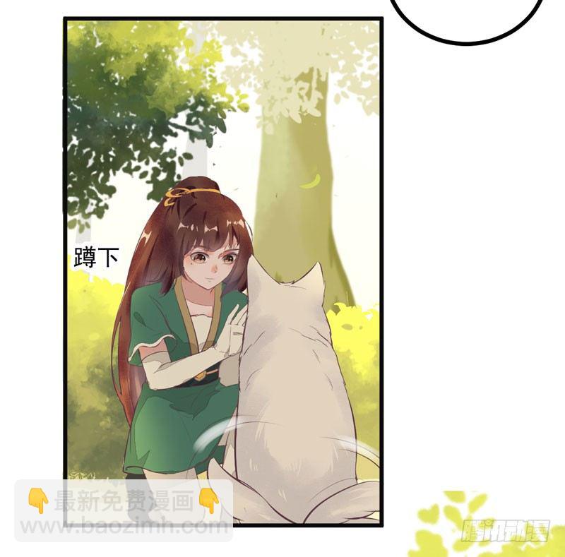 《神医弃女鬼帝的驭兽狂妃》第25话 真是有趣 第10页