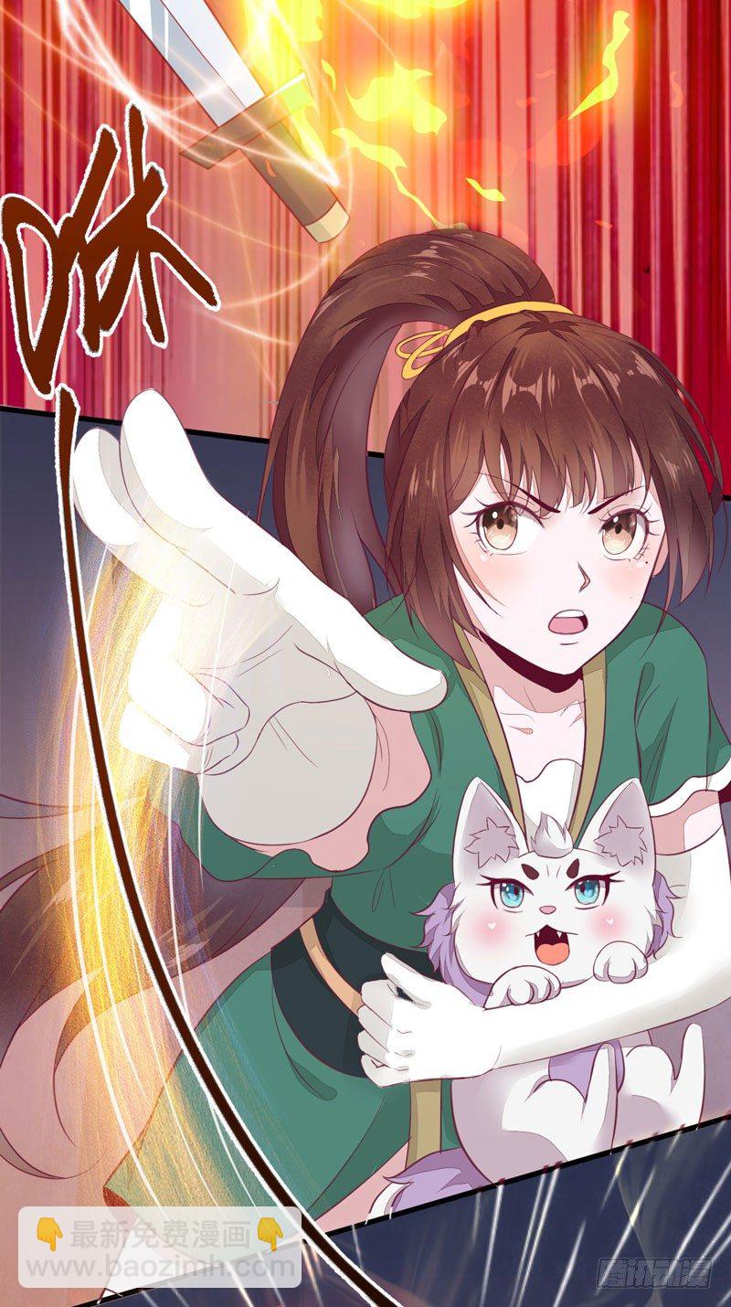 《神医弃女鬼帝的驭兽狂妃》第27话 救命之恩 第12页