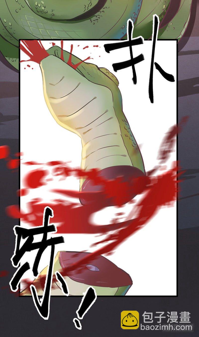 《神医弃女鬼帝的驭兽狂妃》第27话 救命之恩 第28页