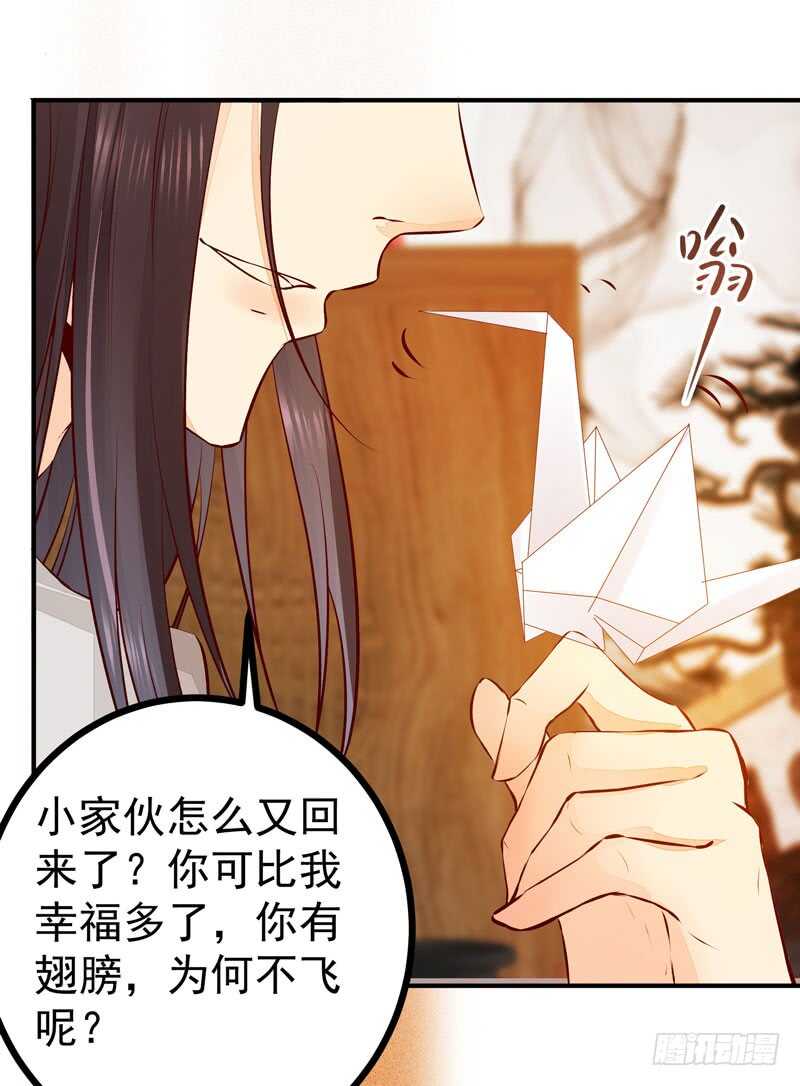 《神医弃女鬼帝的驭兽狂妃》第42话 纸鹤传情 第17页
