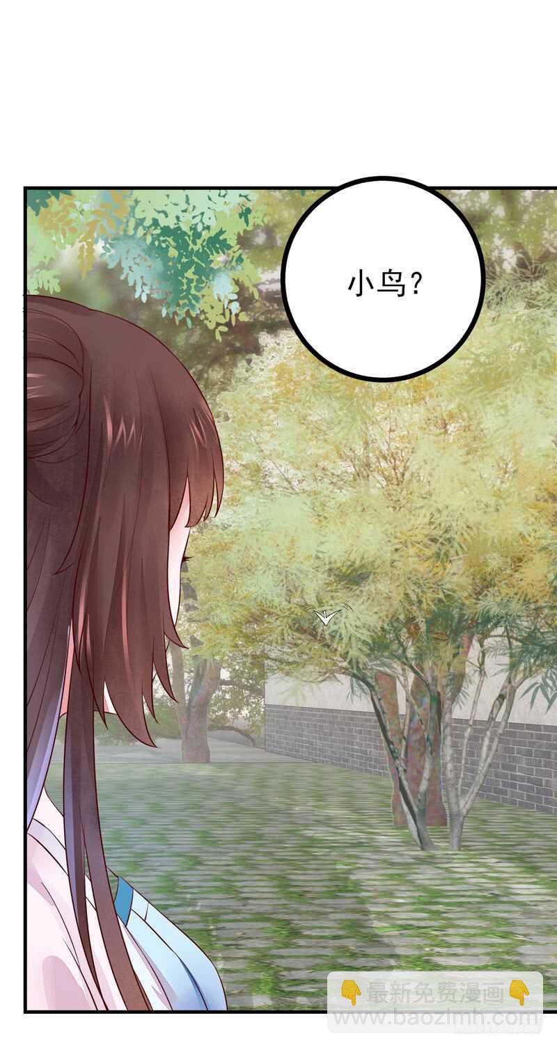 《神医弃女鬼帝的驭兽狂妃》第42话 纸鹤传情 第8页