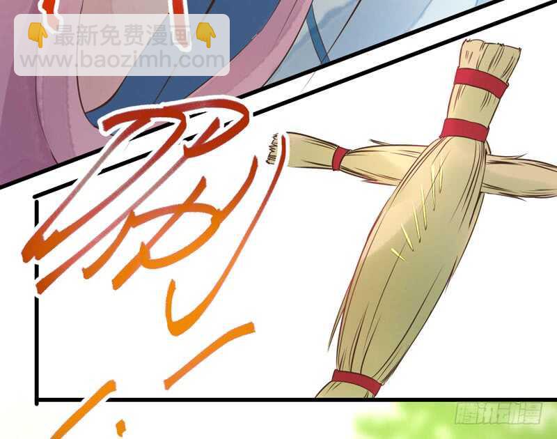 《神医弃女鬼帝的驭兽狂妃》第43话 太守府 第29页