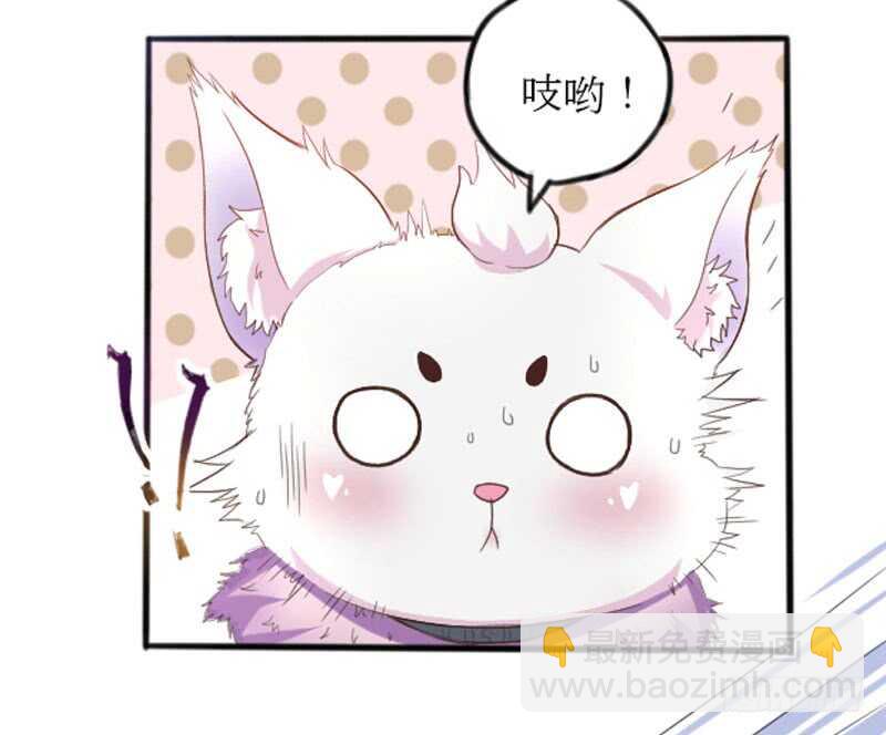 《神医弃女鬼帝的驭兽狂妃》第43话 太守府 第37页