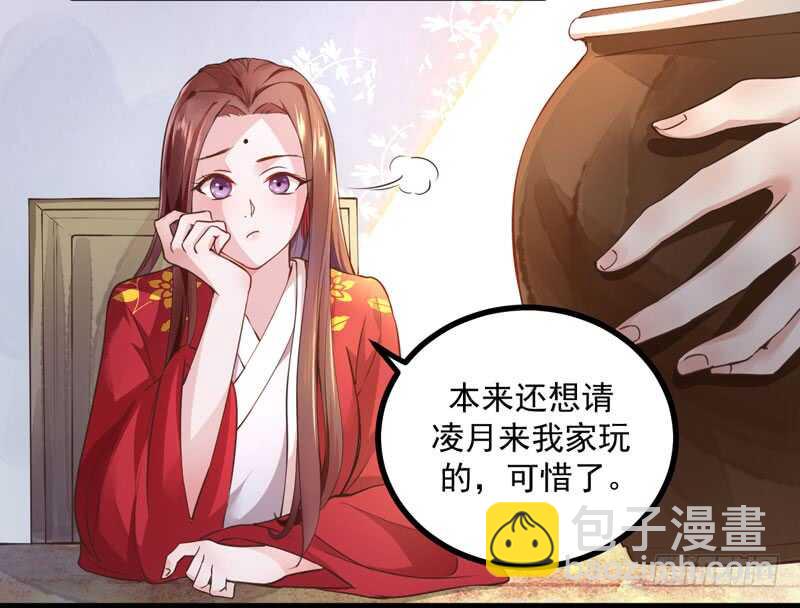 《神医弃女鬼帝的驭兽狂妃》第43话 太守府 第3页
